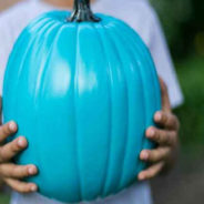 TO CANDY OR NOT TO CANDY