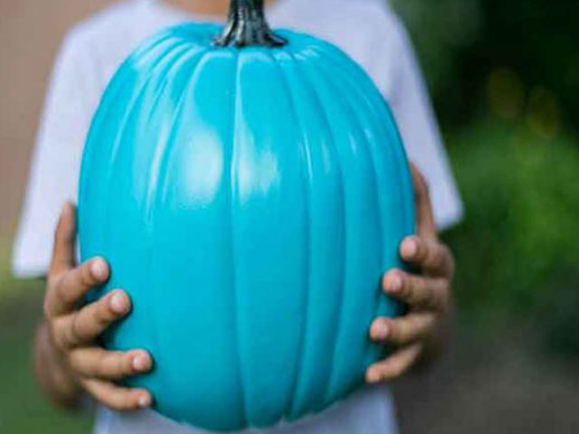 dr-dunne-teal-pumpkin-project