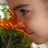 APRIL SHOWERS BRING MAY FLOWERS